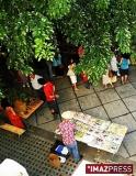 Une brocante dans le jardin 