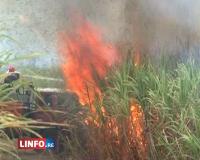 Incendies à répétition dans l'Ouest