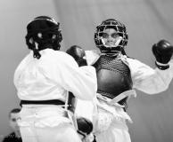 Tournoi international de Nippon Kempo : Trois Réunionnais s'envolent au pays des samouraïs