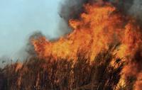 Incendie à la Rivière des Pluies