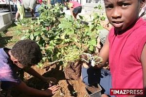 Des arbres pour les enfants relogés