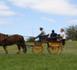 St-André : Une voiture percute un cheval et sa calèche