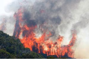 Sous la menace de pyromanes ?